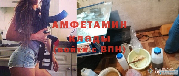 ГАЛЛЮЦИНОГЕННЫЕ ГРИБЫ Богданович