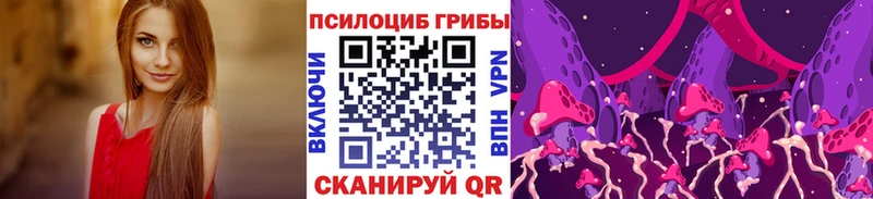 Галлюциногенные грибы ЛСД  Петровск-Забайкальский 